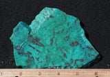 Chrysocolla Rock Slab 485