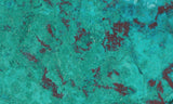 Chrysocolla Rock Slab 485