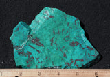 Chrysocolla Rock Slab 485