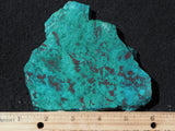 Chrysocolla Rock Slab 480