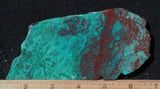 Chrysocolla Rock Slab 488