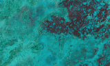 Chrysocolla Rock Slab 488