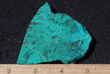 Chrysocolla Rock Slab 495