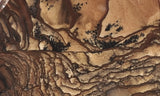 Biggs Jasper Rock Slab 464