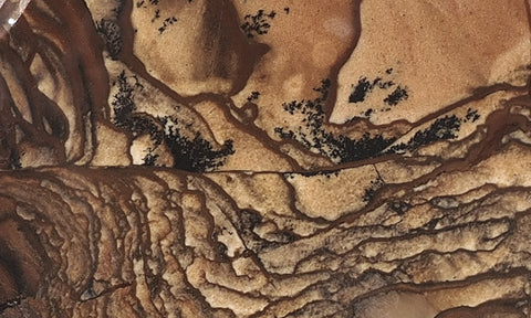 Biggs Jasper Rock Slab 464
