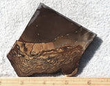 Biggs Jasper Rock Slab 464