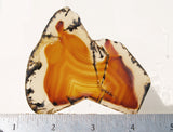 Bargain Bin A Slab 991