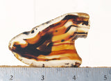 Montana Agate Rock Slab 281