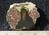 Bruneau Jasper Rock Slab 475