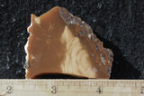 Bruneau Jasper Rock Slab 498