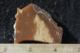 Bruneau Jasper Rock Slab 498