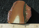 Bruneau Jasper Rock Slab 497