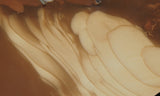 Bruneau Jasper Rock Slab 468
