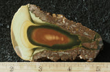 Bruneau Jasper Rock Slab 471