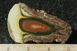 Bruneau Jasper Rock Slab 471