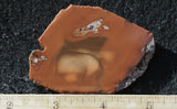 Bruneau Jasper Rock Slab 499