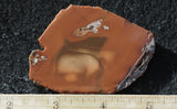 Bruneau Jasper Rock Slab 499