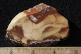 Bruneau Jasper Rock Slab 491