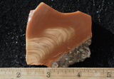 Bruneau Jasper Rock Slab 459