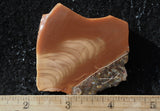 Bruneau Jasper Rock Slab 459
