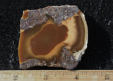 Bruneau Jasper Rock Slab 494