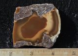 Bruneau Jasper Rock Slab 494