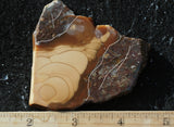 Bruneau Jasper Rock Slab 484