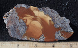 Bruneau Jasper Rock Slab 467