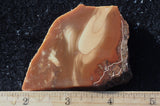 Bruneau Jasper Rock Slab 457
