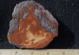 Bruneau Jasper Rock Slab 481