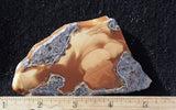 Bruneau Jasper Rock Slab 480