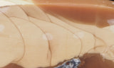 Bruneau Jasper Rock Slab 460
