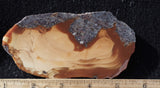Bruneau Jasper Rock Slab 449