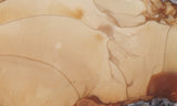Bruneau Jasper Rock Slab 449