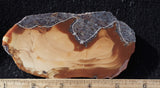 Bruneau Jasper Rock Slab 449