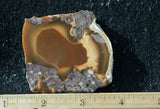 Bruneau Jasper Rock Slab 493