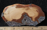 Bruneau Jasper Rock Slab 476