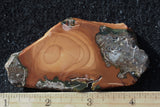 Bruneau Jasper Rock Slab 486