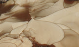 Bruneau Jasper Rock Slab 446