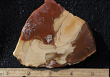 Bruneau Jasper Rock Slab 473