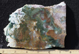 Fancy Jasper Rock Slab 488