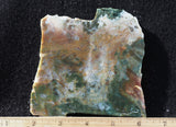 Fancy Jasper Rock Slab 493