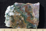 Fancy Jasper Rock Slab 491