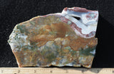 Fancy Jasper Rock Slab 490