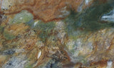 Fancy Jasper Rock Slab 490