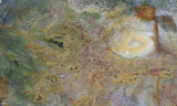 Fancy Jasper Rock Slab 497