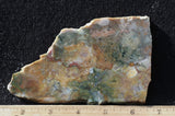 Fancy Jasper Rock Slab 497