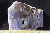 Durango Blue Agate Slab 434