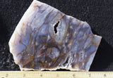 Durango Blue Agate Slab 424