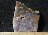 Durango Blue Agate Slab 397